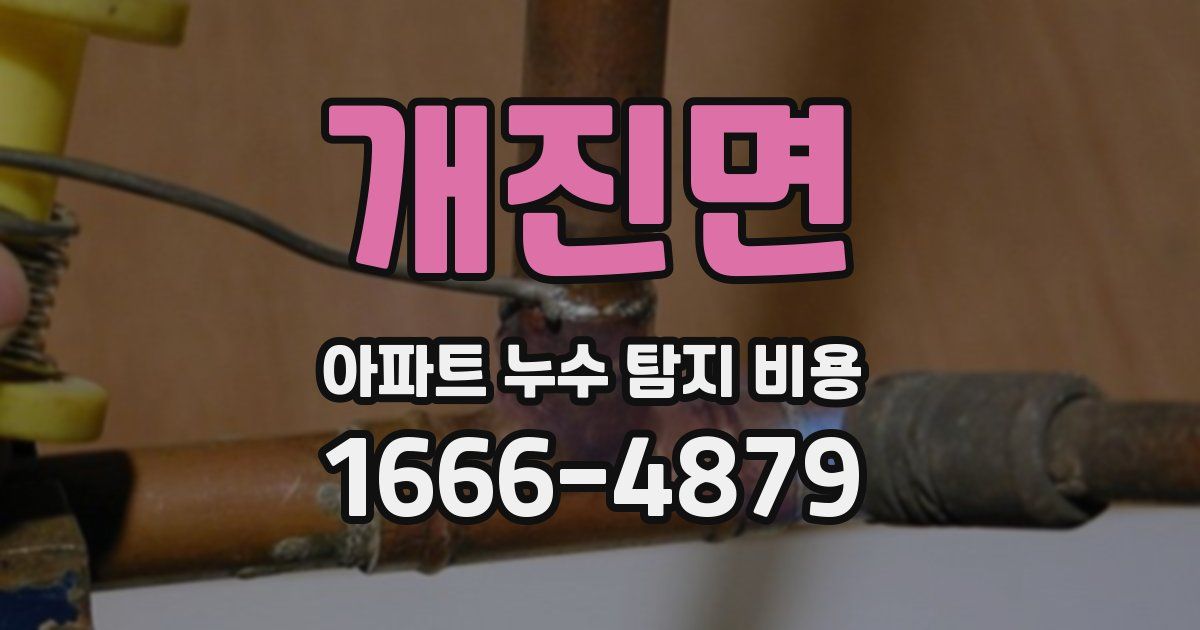 개진면 아파트 누수 탐지 비용