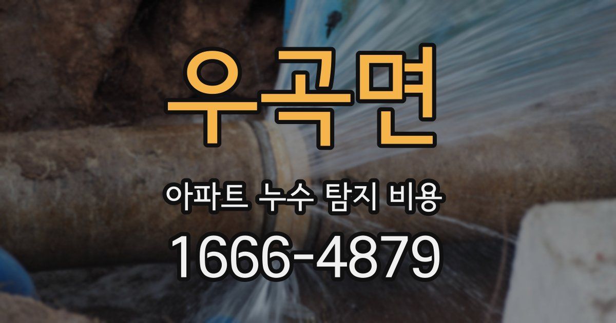 우곡면 아파트 누수 탐지 비용