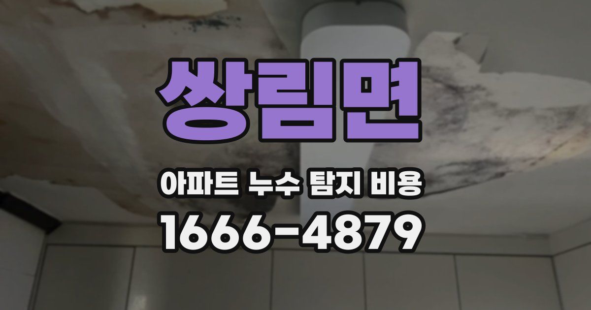 쌍림면 아파트 누수 탐지 비용