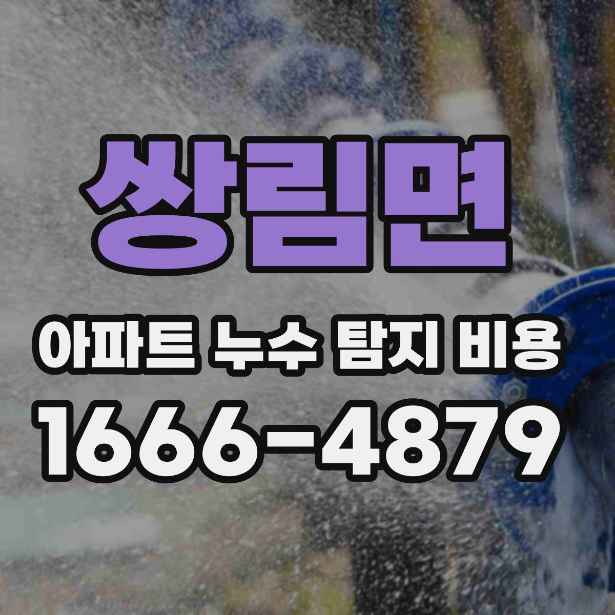 쌍림면 아파트 누수 탐지 비용