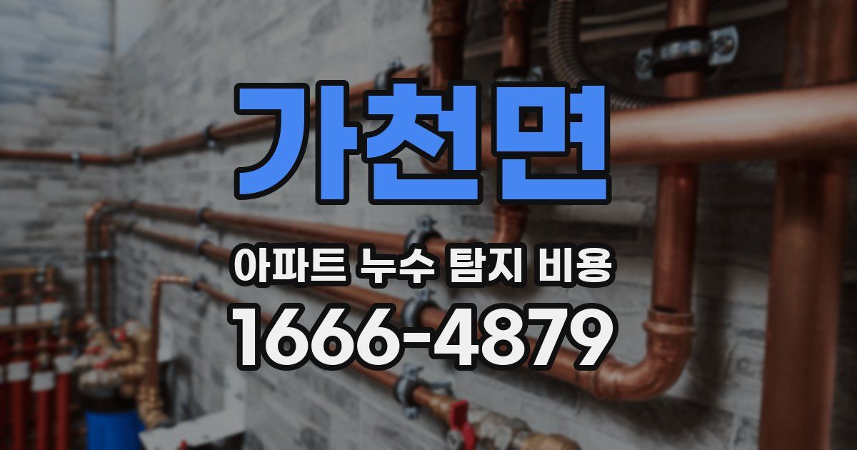 가천면 아파트 누수 탐지 비용