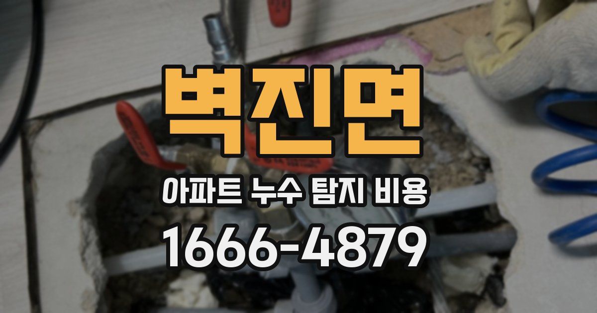 벽진면 아파트 누수 탐지 비용