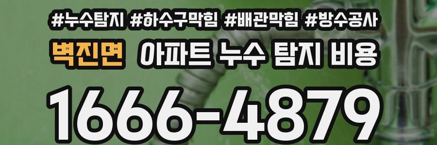 벽진면 아파트 누수 탐지 비용