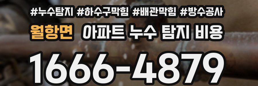 월항면 아파트 누수 탐지 비용