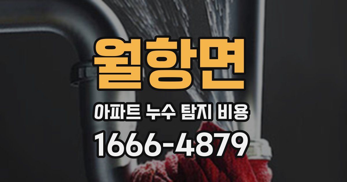 월항면 아파트 누수 탐지 비용