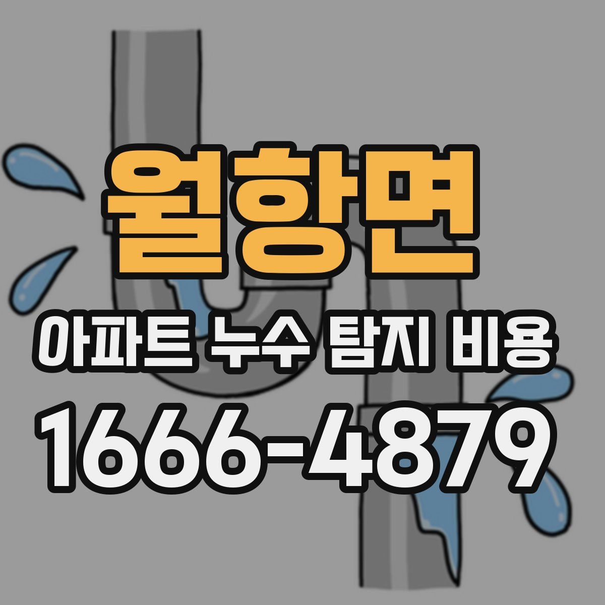 월항면 아파트 누수 탐지 비용