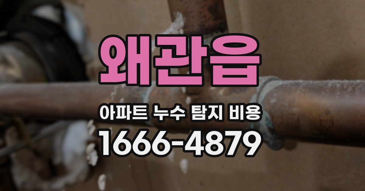 왜관읍 아파트 누수 탐지 비용