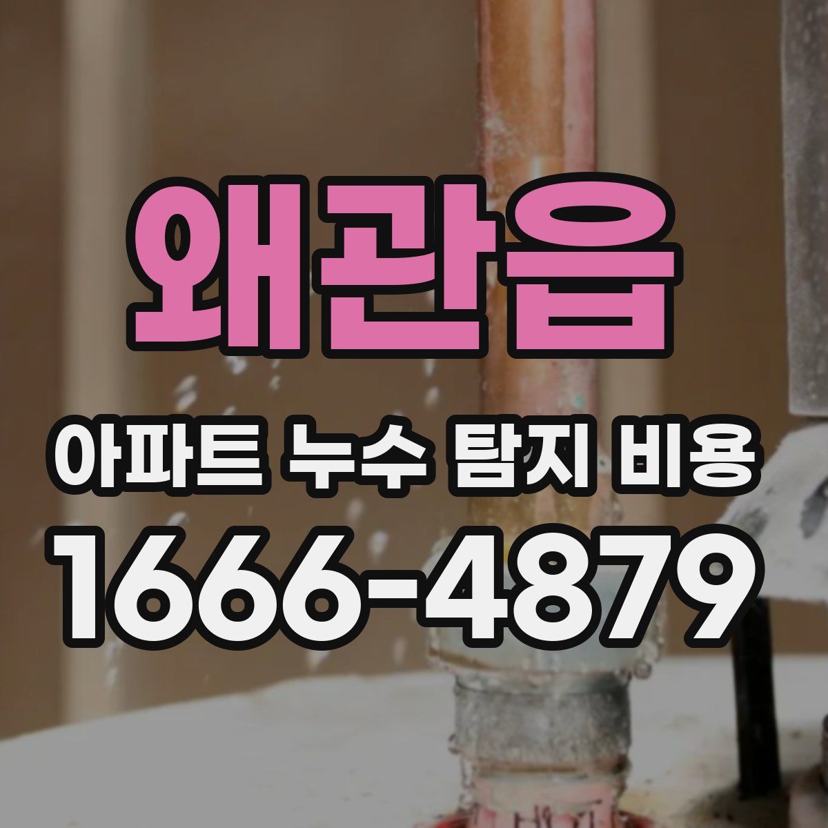 왜관읍 아파트 누수 탐지 비용