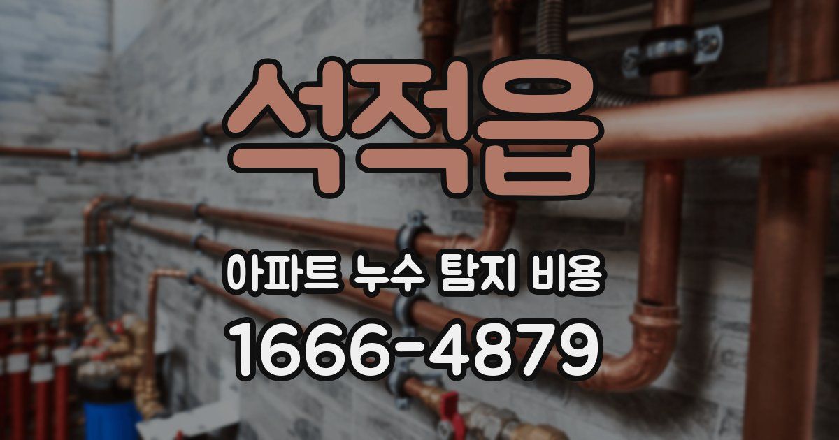 석적읍 아파트 누수 탐지 비용