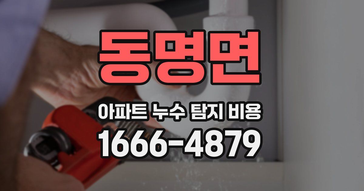 동명면 아파트 누수 탐지 비용