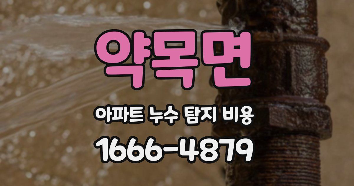 약목면 아파트 누수 탐지 비용