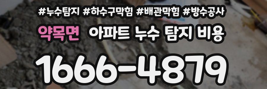 약목면 아파트 누수 탐지 비용