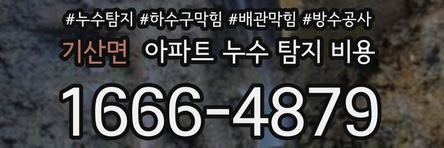 기산면 아파트 누수 탐지 비용