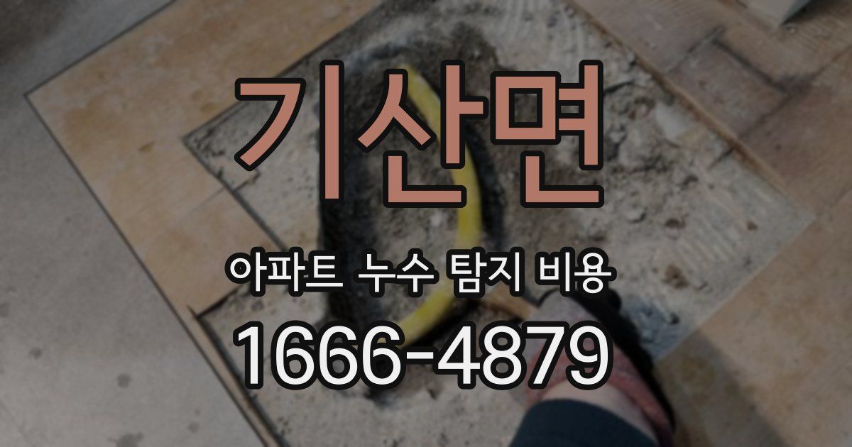기산면 아파트 누수 탐지 비용