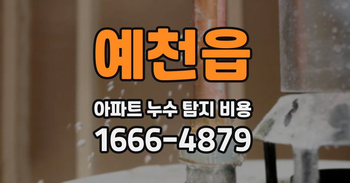 예천읍 아파트 누수 탐지 비용