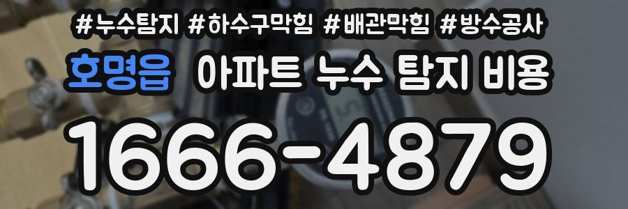 호명읍 아파트 누수 탐지 비용