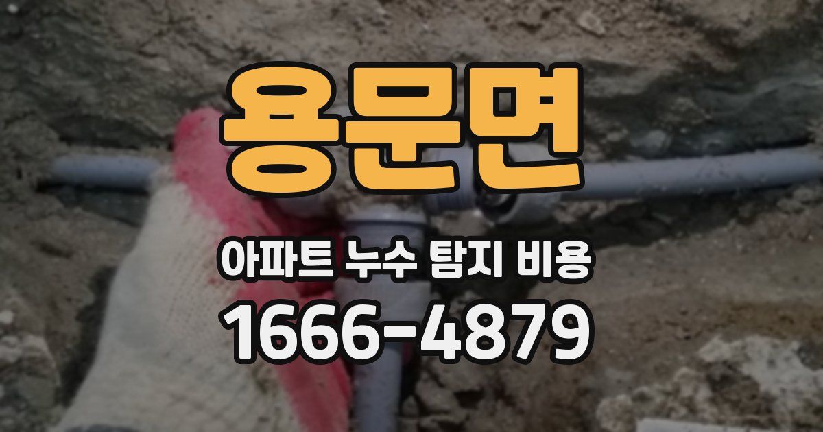용문면 아파트 누수 탐지 비용