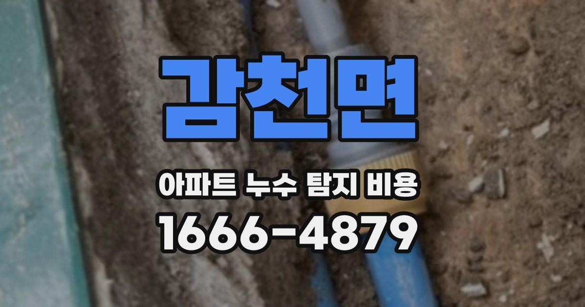 감천면 아파트 누수 탐지 비용