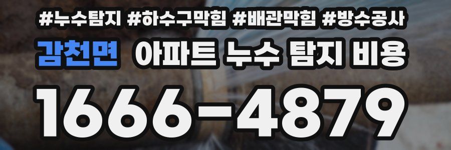 감천면 아파트 누수 탐지 비용