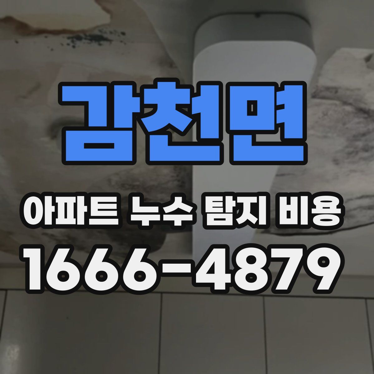 감천면 아파트 누수 탐지 비용