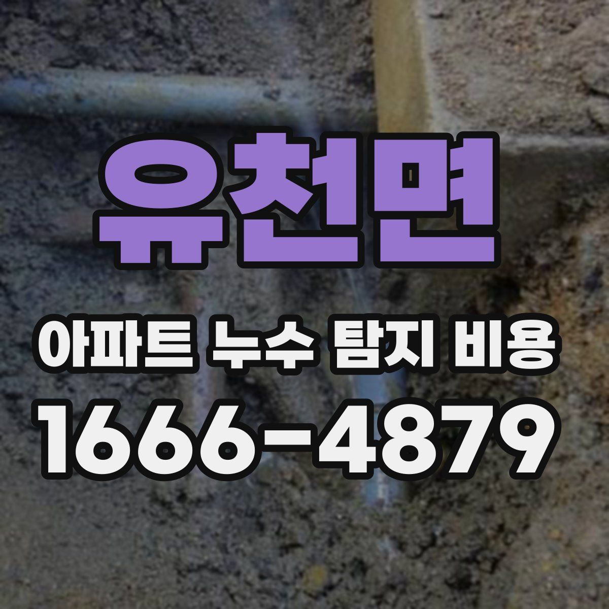 유천면 아파트 누수 탐지 비용