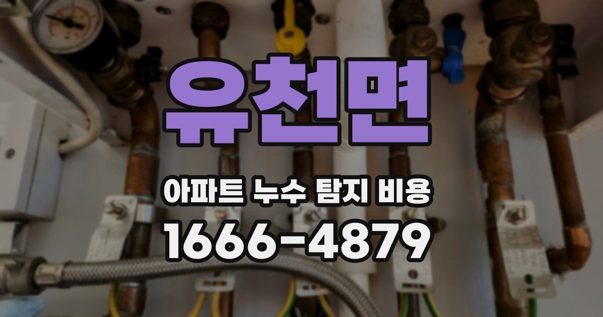 유천면 아파트 누수 탐지 비용