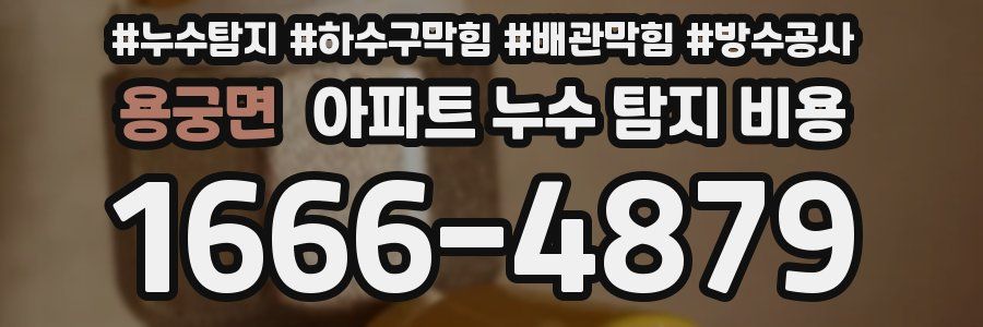 용궁면 아파트 누수 탐지 비용