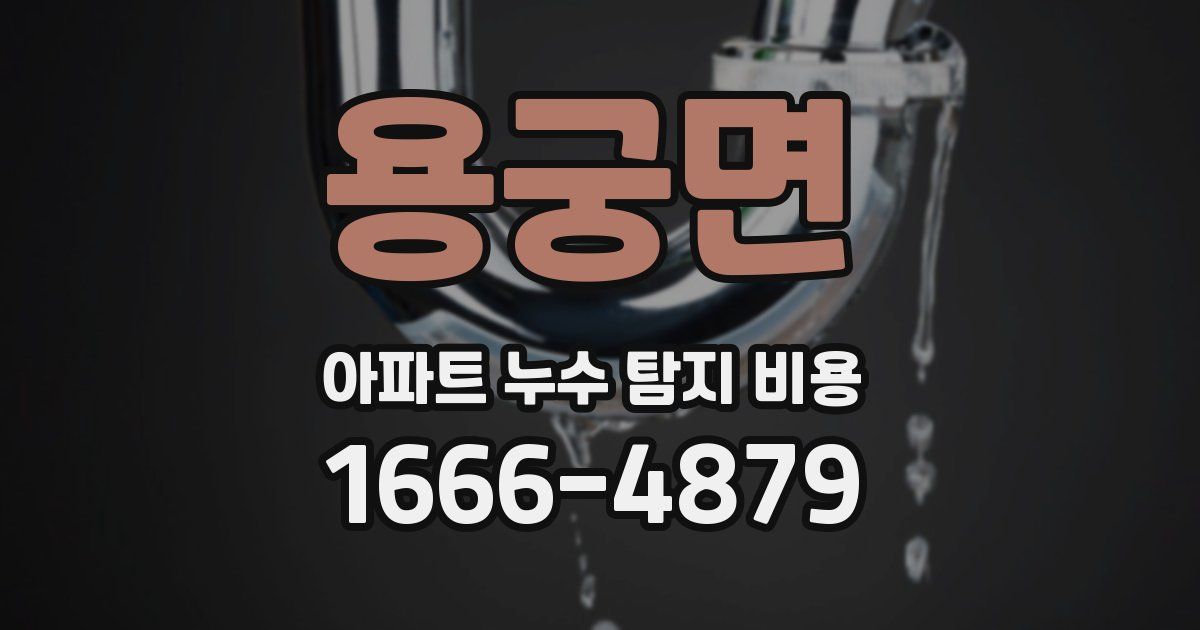 용궁면 아파트 누수 탐지 비용