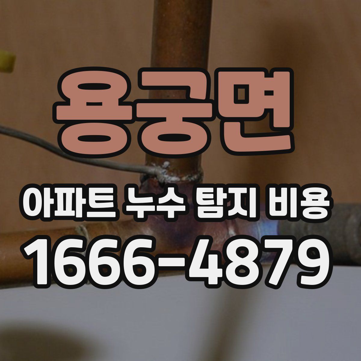 용궁면 아파트 누수 탐지 비용