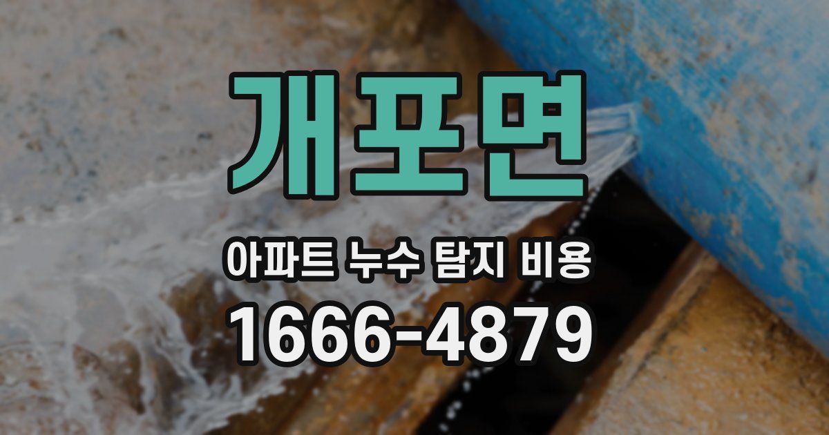 개포면 아파트 누수 탐지 비용
