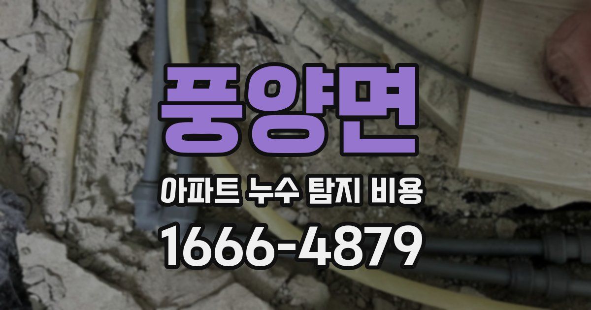 풍양면 아파트 누수 탐지 비용
