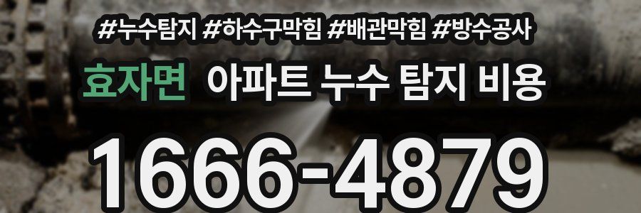 효자면 아파트 누수 탐지 비용