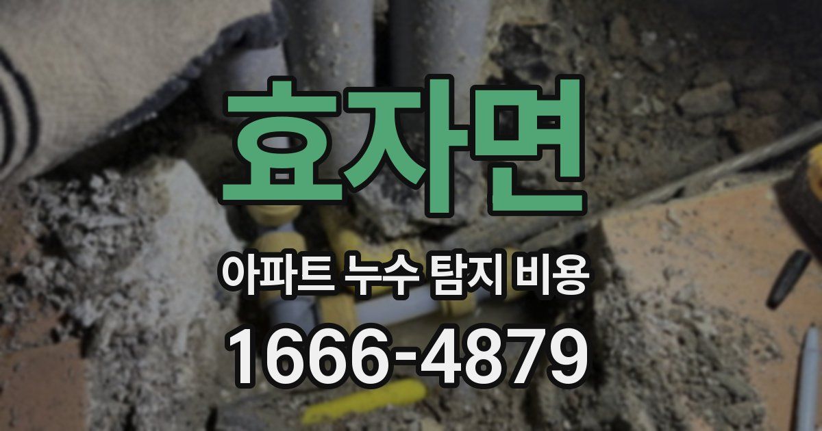 효자면 아파트 누수 탐지 비용
