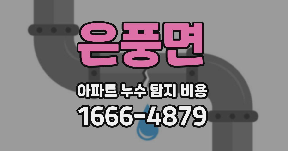 은풍면 아파트 누수 탐지 비용