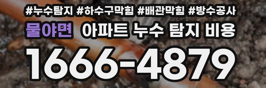 물야면 아파트 누수 탐지 비용
