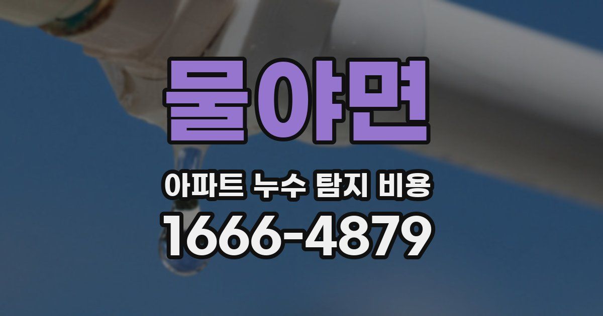 물야면 아파트 누수 탐지 비용