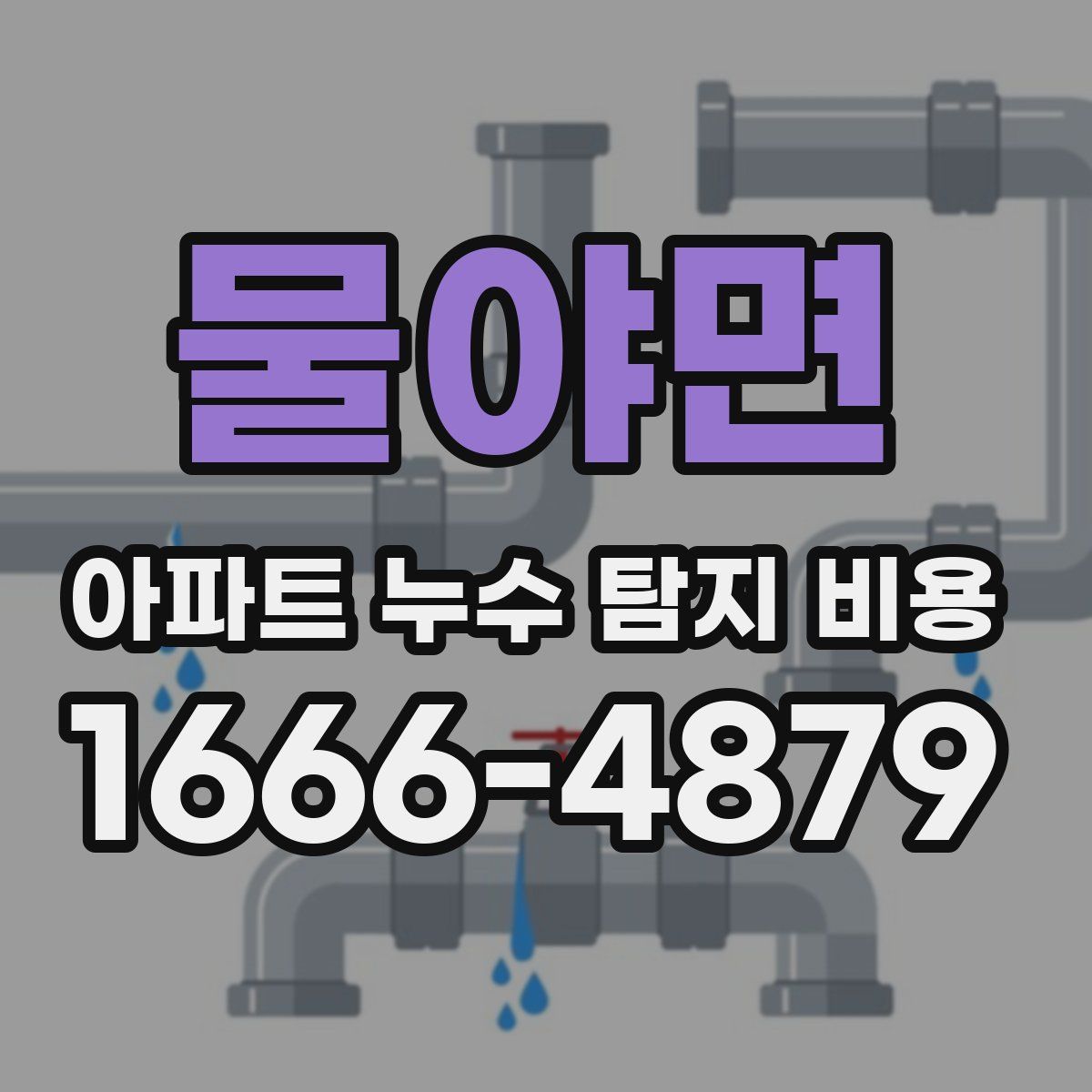 물야면 아파트 누수 탐지 비용