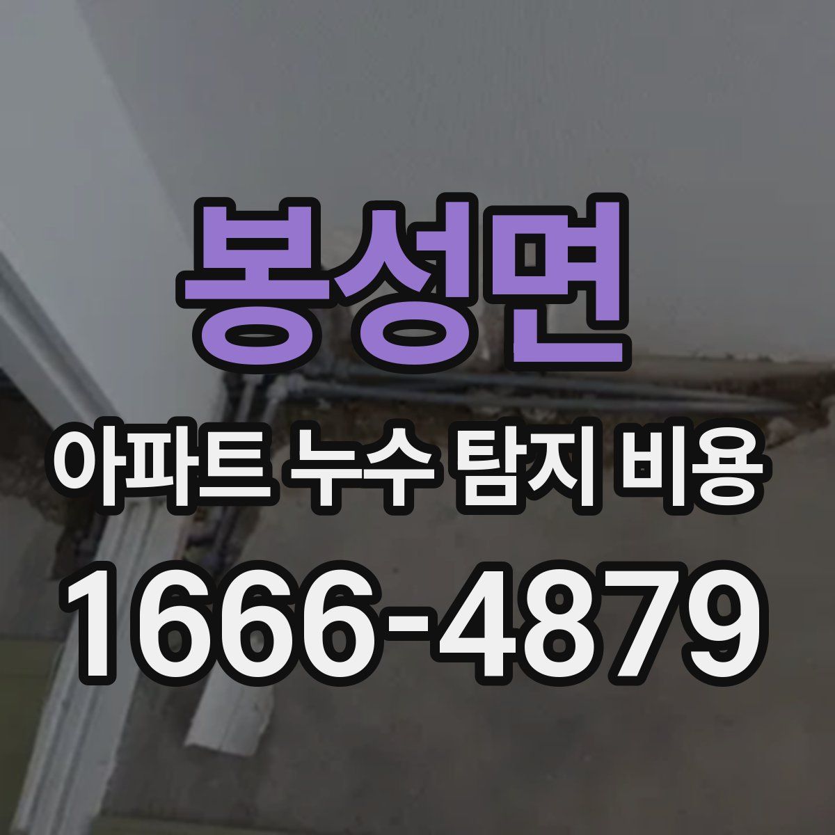 봉성면 아파트 누수 탐지 비용