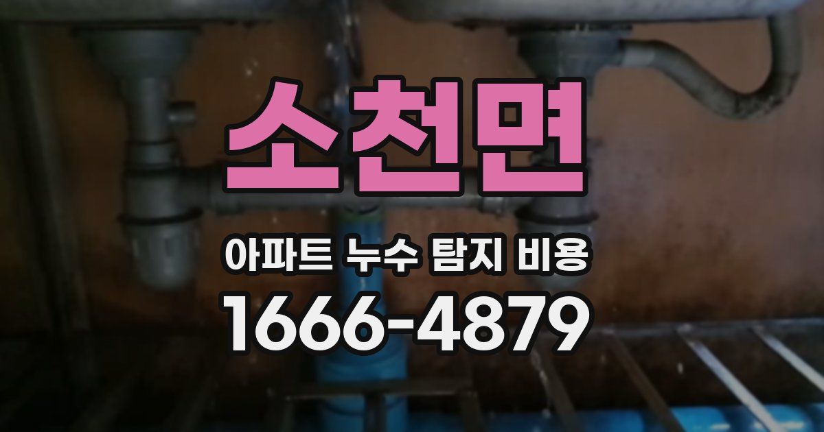 소천면 아파트 누수 탐지 비용