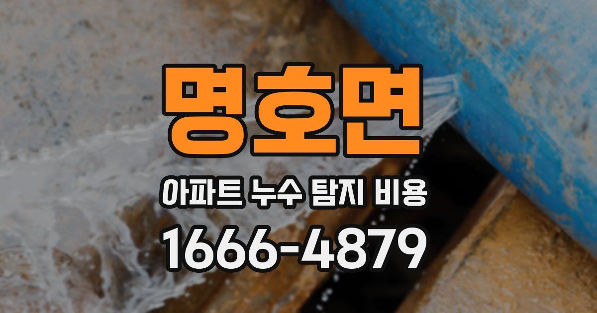 명호면 아파트 누수 탐지 비용