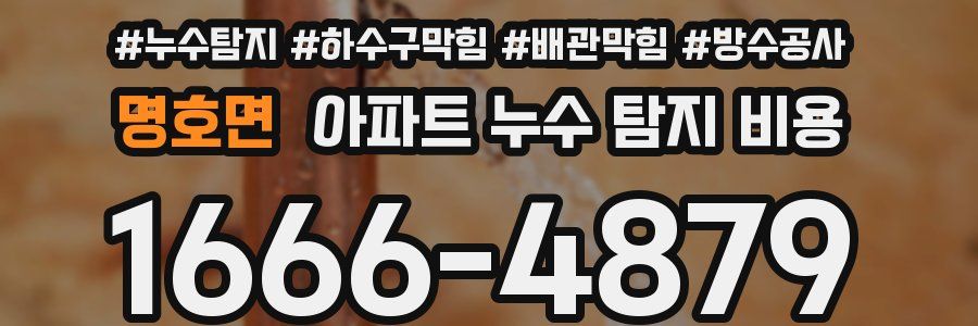 명호면 아파트 누수 탐지 비용