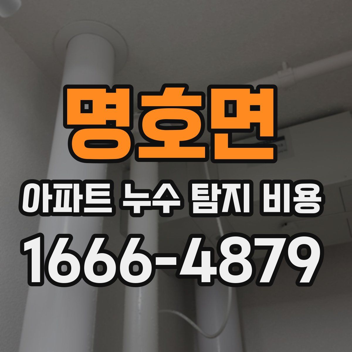 명호면 아파트 누수 탐지 비용