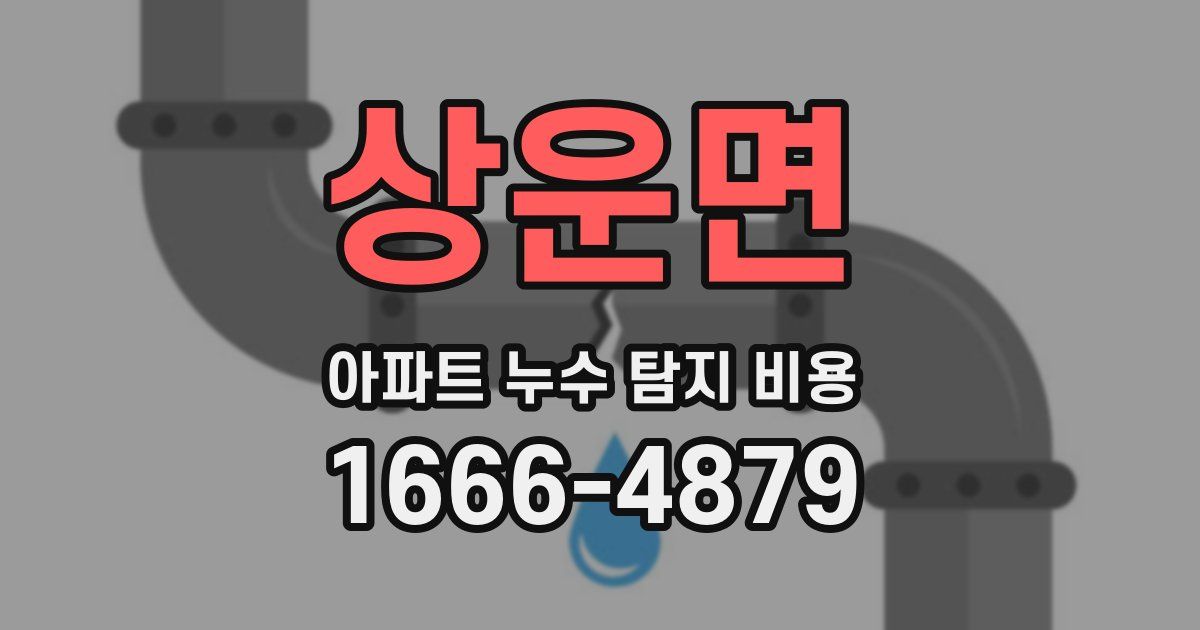 상운면 아파트 누수 탐지 비용
