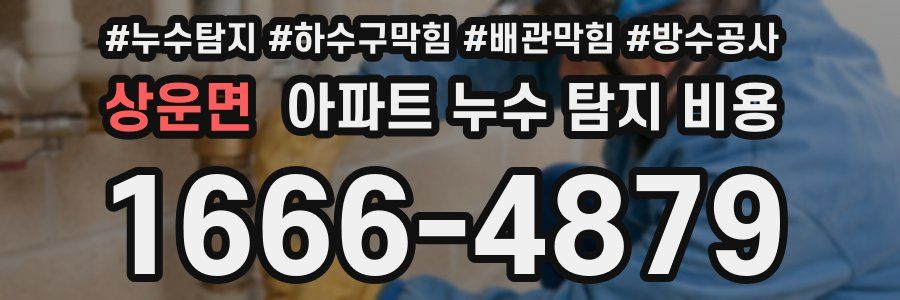 상운면 아파트 누수 탐지 비용