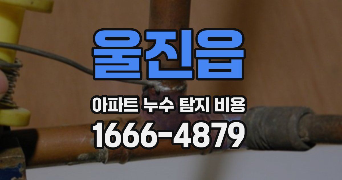 울진읍 아파트 누수 탐지 비용