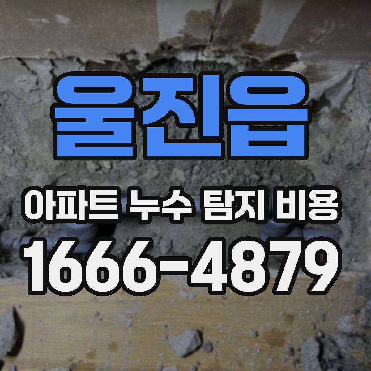 울진읍 아파트 누수 탐지 비용