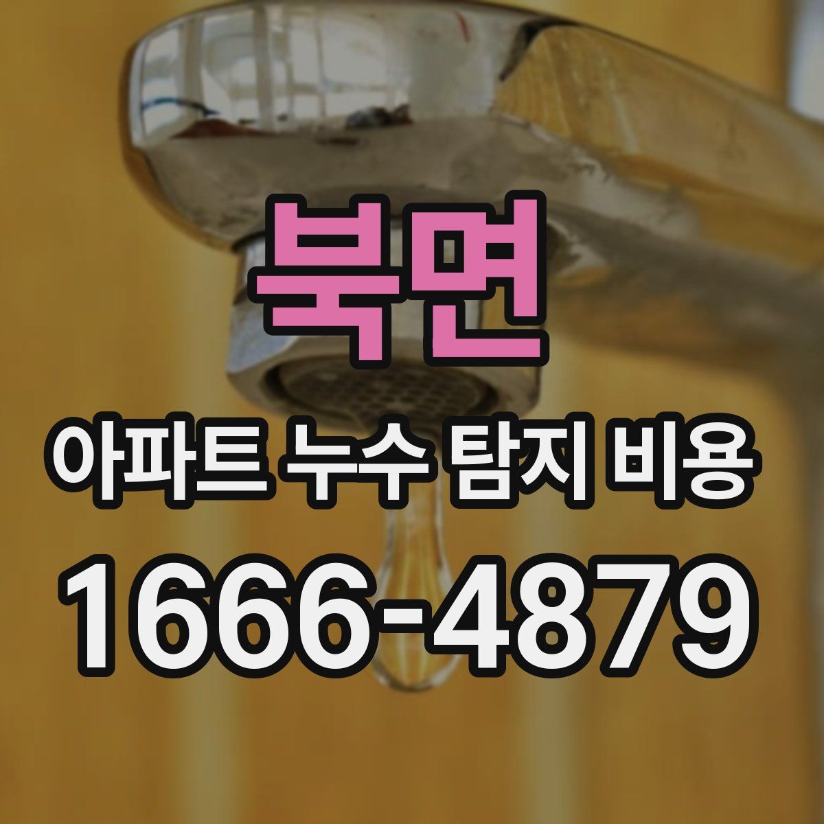 북면 아파트 누수 탐지 비용