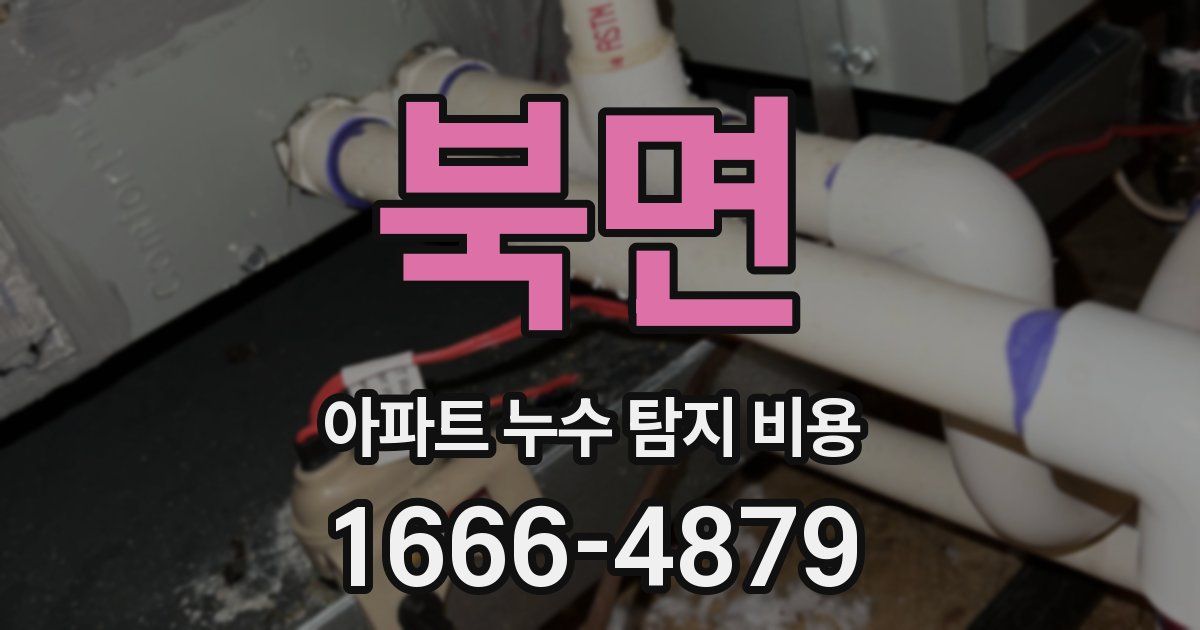 북면 아파트 누수 탐지 비용