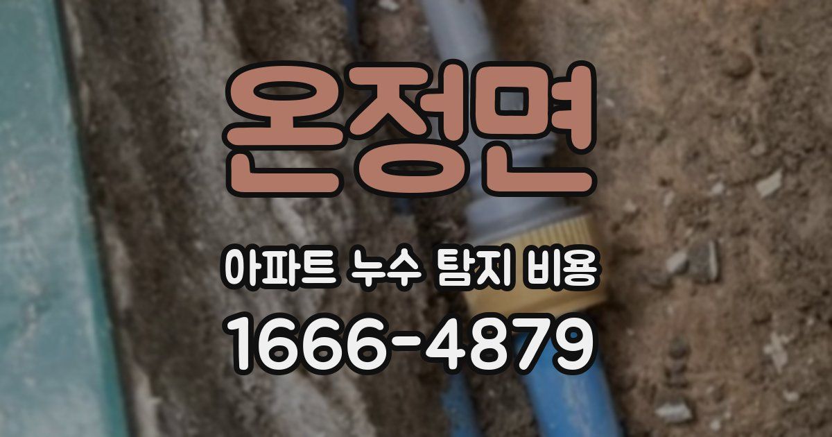 온정면 아파트 누수 탐지 비용