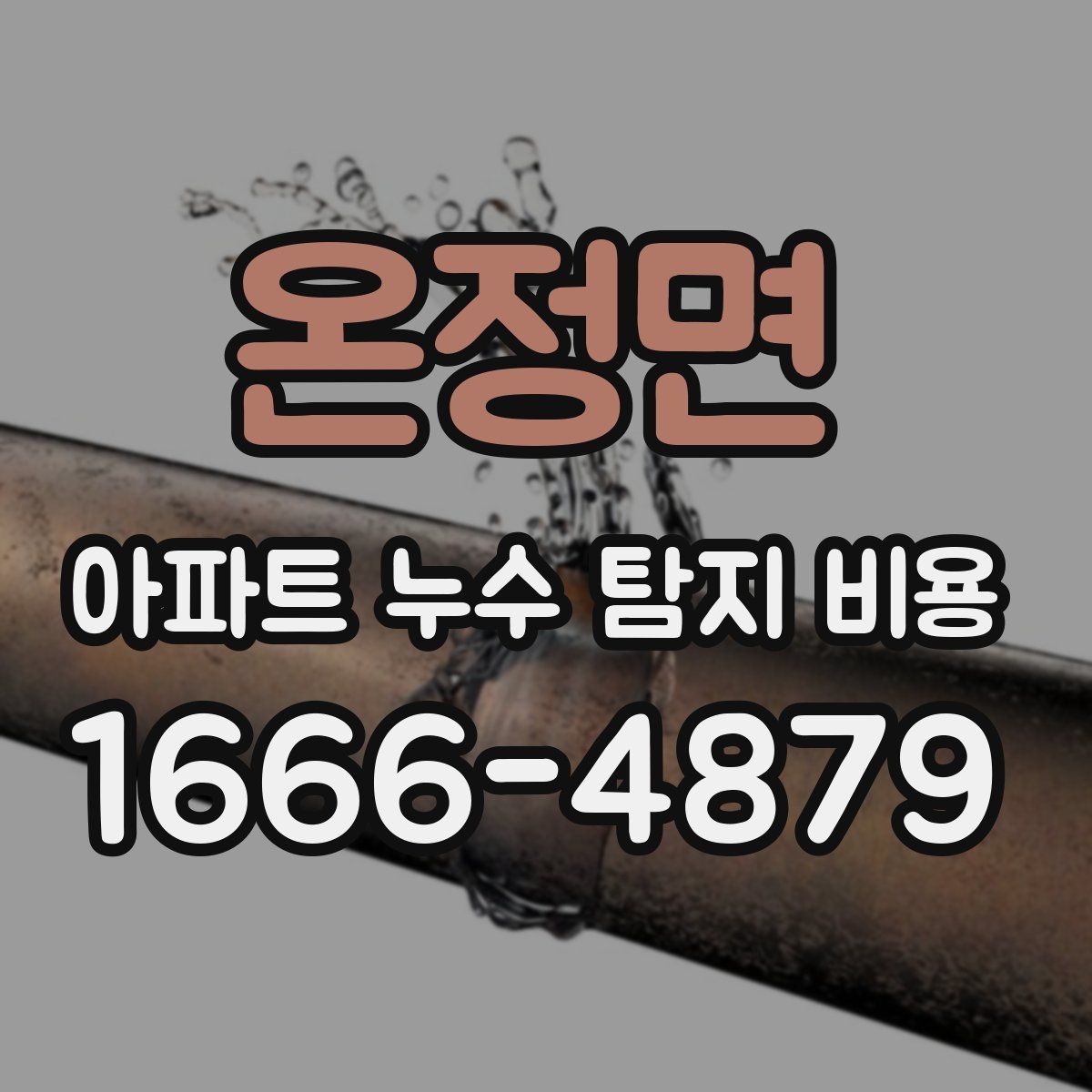 온정면 아파트 누수 탐지 비용